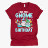 Did You Gnome It's My Birthday Gnomies Party Gnome Lover T-Shirt