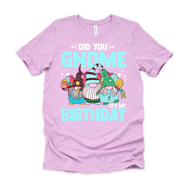 Did You Gnome It's My Birthday Gnomies Party Gnome Lover T-Shirt