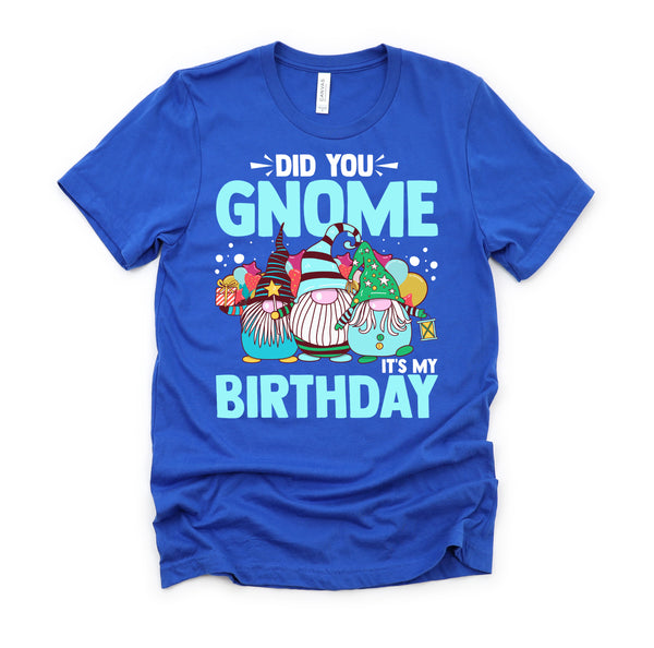Did You Gnome It's My Birthday Gnomies Party Gnome Lover T-Shirt