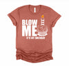 It's My Birthday Blow Me Joke Funny Gift T-Shirt