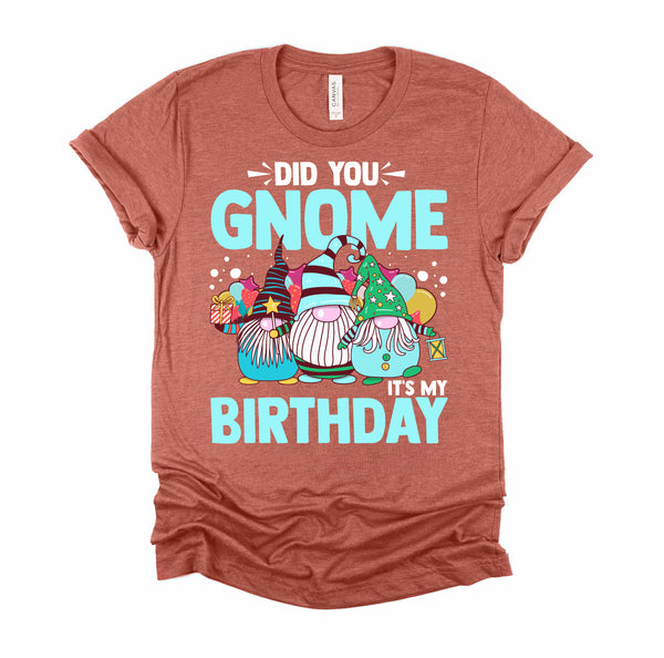 Did You Gnome It's My Birthday Gnomies Party Gnome Lover T-Shirt