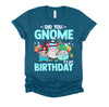 Did You Gnome It's My Birthday Gnomies Party Gnome Lover T-Shirt